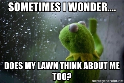 commcuttingeq's tweet image. Take advantage of the rain and come by and see us #cce #shoplocal #rainday