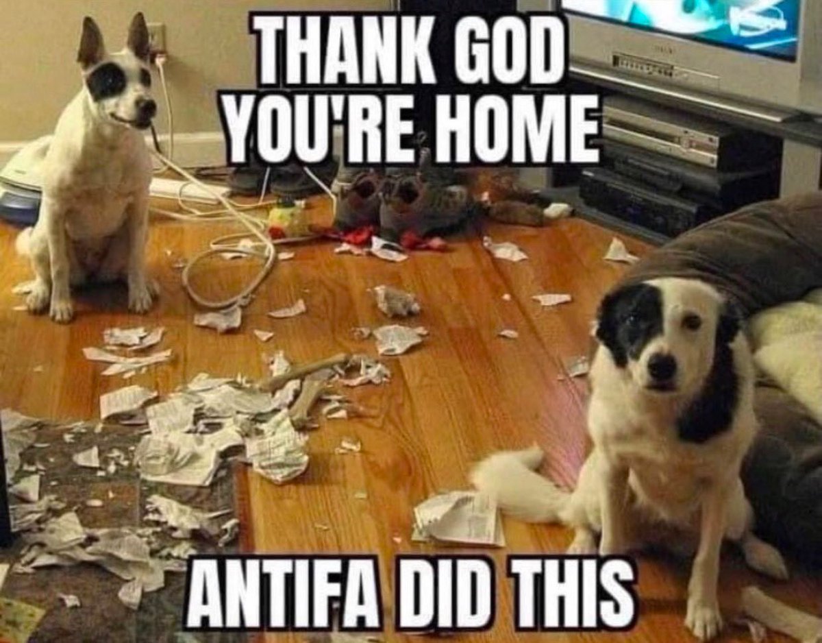 lila needs to stfu tweet media