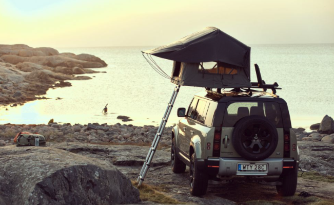 Backbone Media tweet media