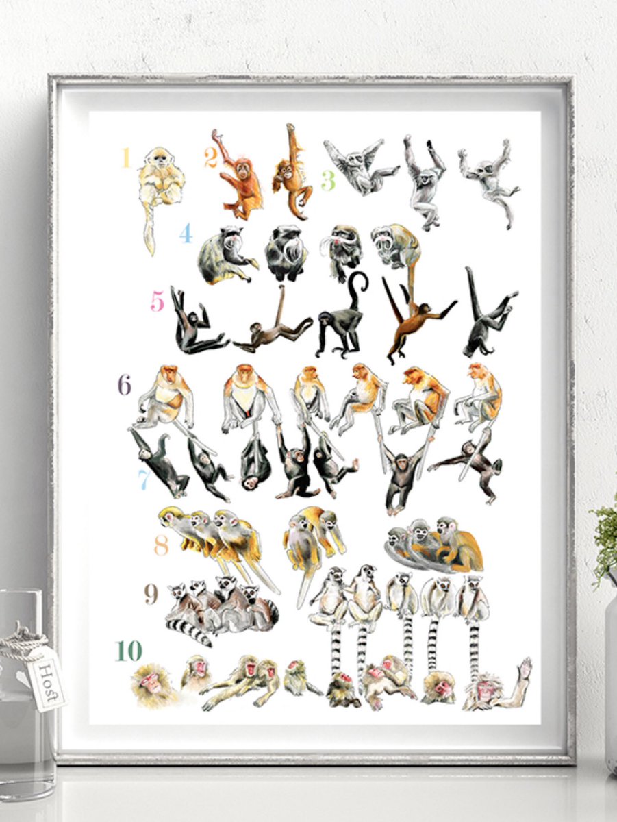 JANUARY OFFER  Click sarahgregorydesigns.co.uk or my Etsy store here.... etsy.me/2qKcVaX Enter code JANUARY10 for 10% off
#childrensgifts #nurserydecor #watercolourart #supportsmallbusiness #nurserydecor #animalalphabets #namesinframes #monkeys #counting #learning #1to10