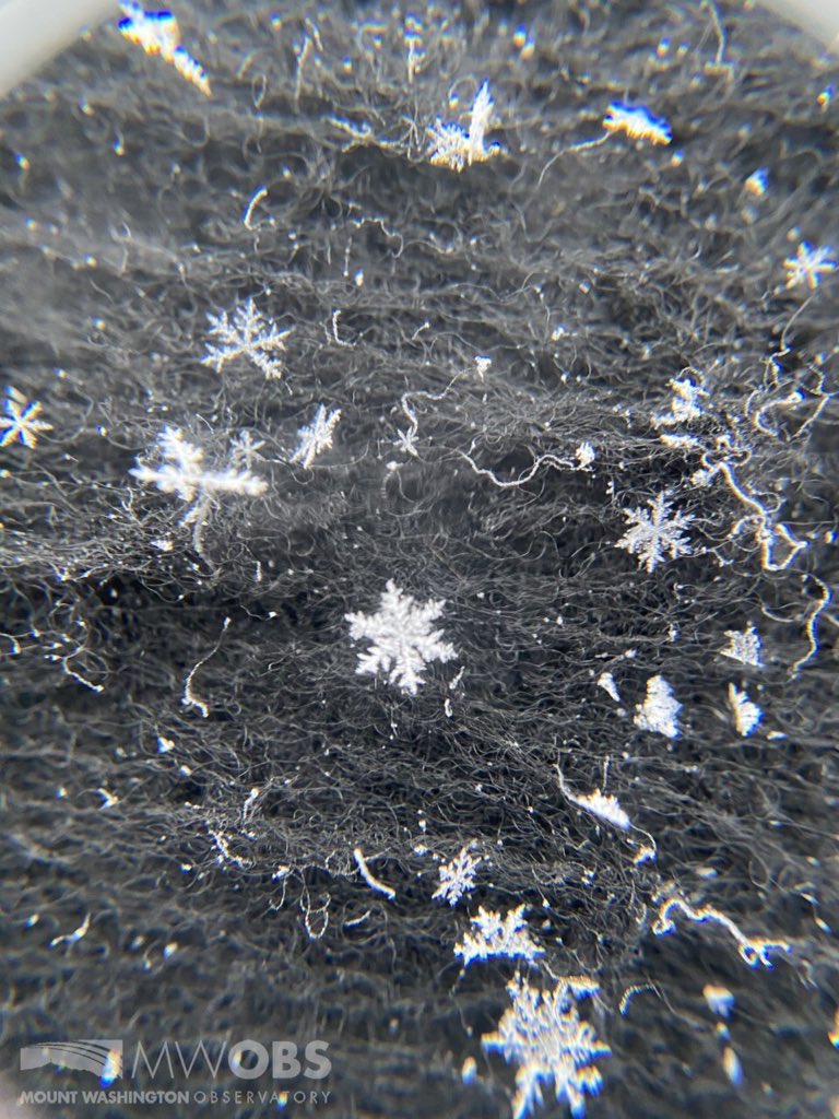 MWObs's tweet photo. Temperatures in the single digits combined with low winds (for our standards) have led to excellent snowflake catching conditions! #snowflake #dendrites #stellars #snowshower #shsn #winter2021 #mwobs

To learn about forecasting join us for Science in the Mountains, tonight at 7PM https://t.co/TtqdzkCI4t