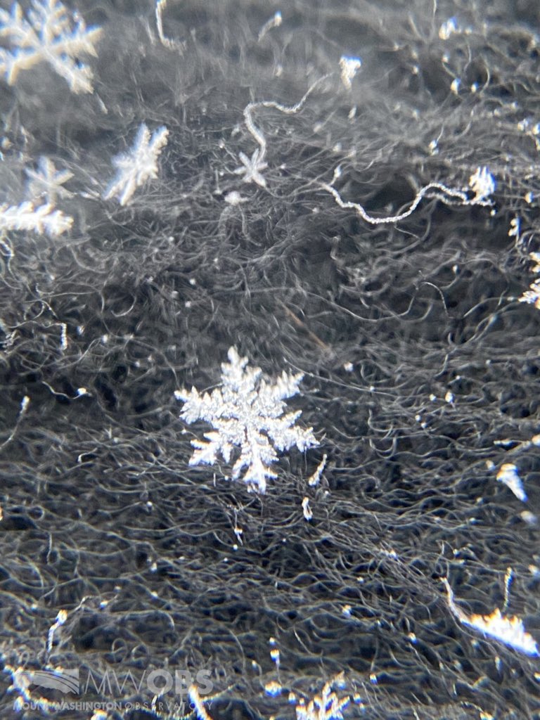 MWObs's tweet photo. Temperatures in the single digits combined with low winds (for our standards) have led to excellent snowflake catching conditions! #snowflake #dendrites #stellars #snowshower #shsn #winter2021 #mwobs

To learn about forecasting join us for Science in the Mountains, tonight at 7PM https://t.co/TtqdzkCI4t