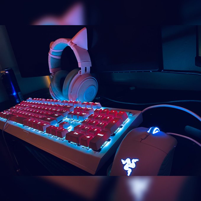 My mouse and ears came in!!! Such a pretty view. 🥰🥰  #Razer #razerquartz #razergaming #razerstreamer<a href="/tag/razer"class="tags"><span>#razer</span></a><a href="/tag/razerstreamer"class="tags"><span>#razerstreamer</span></a><a href="/tag/razerkraken"class="tags"><span>#razerkraken</span></a><a href="/tag/razerquartz"class="tags"><span>#razerquartz</span></a>