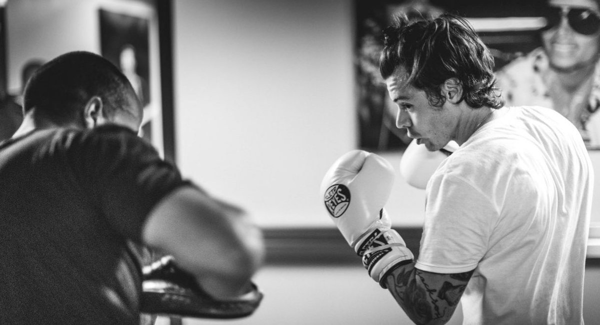 7Osloveontour's tweet photo. harry styles boxing, that’s the tweet. https://t.co/zLORuwrdsr