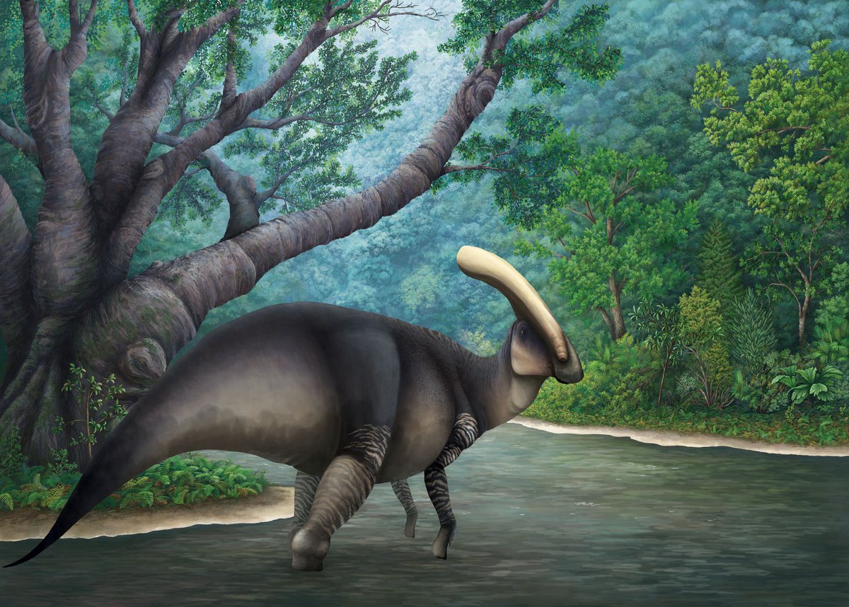 paleobyliam's tweet photo. #PortfolioDay I'm Liam Elward, digital paleoartist looking for work in scientific illustration &amp; paleontology. Open for commissions of any &amp; all extinct organisms!
💼:https://t.co/29OB8HPoUQ
✉️: liam_elward@yahoo.com
#paleoart #art #artist #ScientificIllustration #SciArt https://t.co/3OlXZZdwqP
