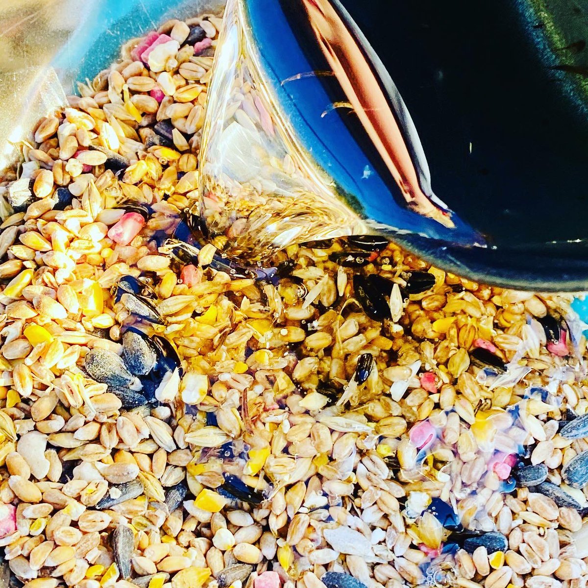 Wee Stems tweet media