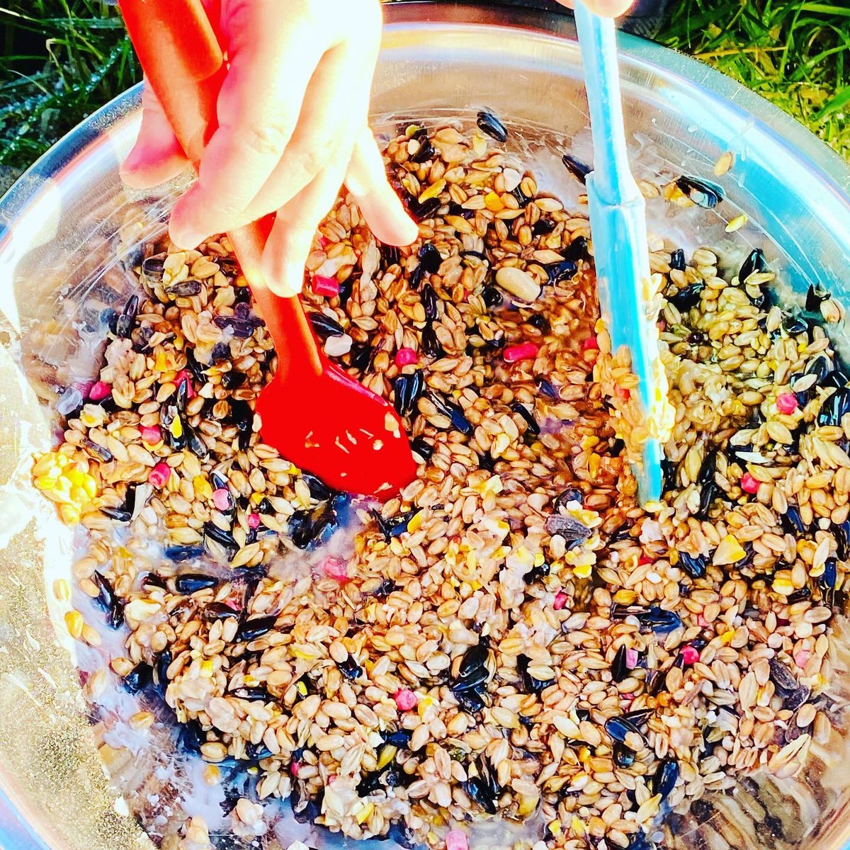 Wee Stems tweet media