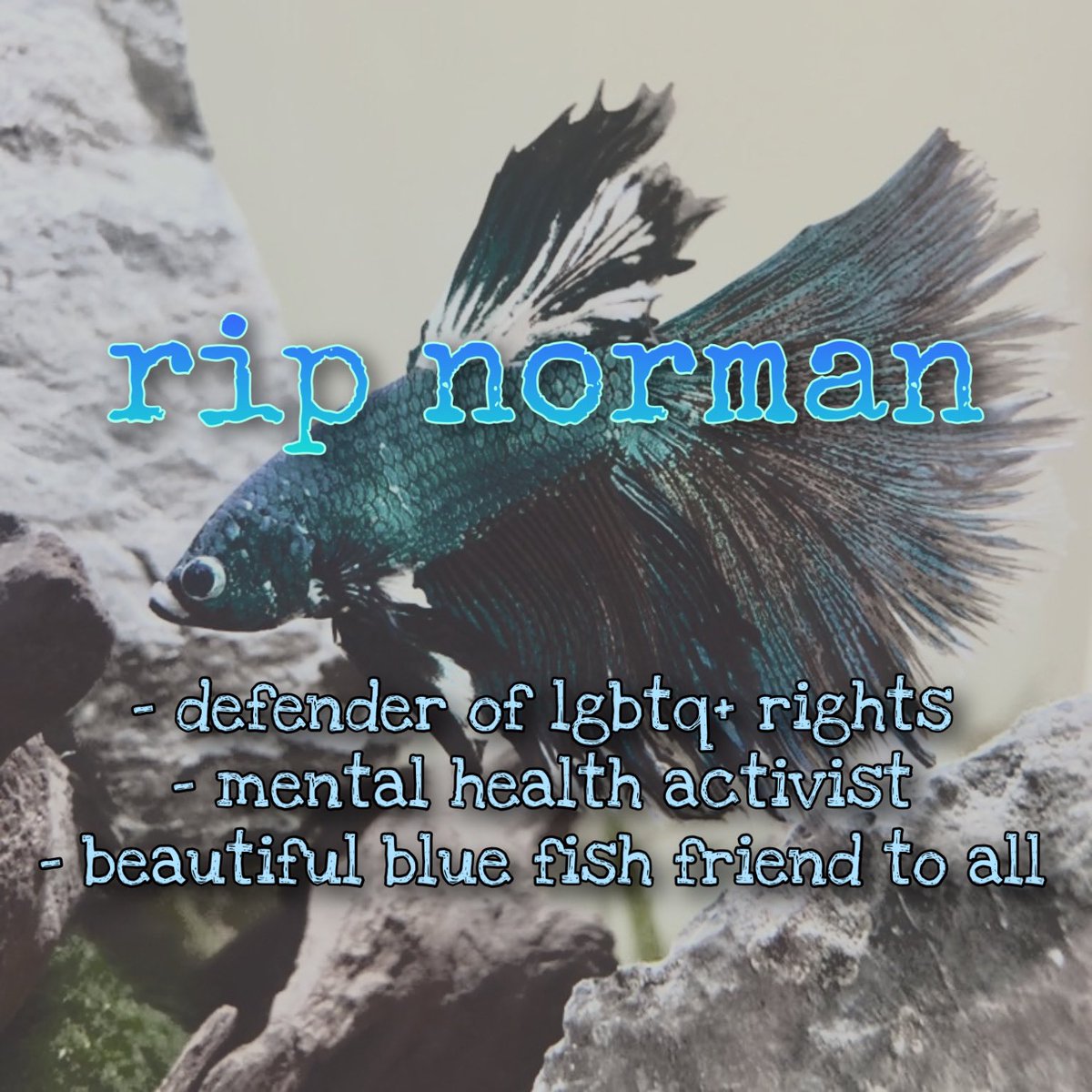 @religious4ryro's photo on RIP Norman