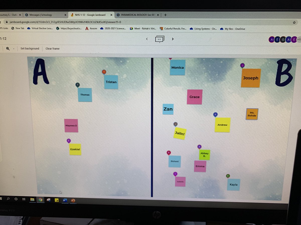 Courtney Rohde tweet media