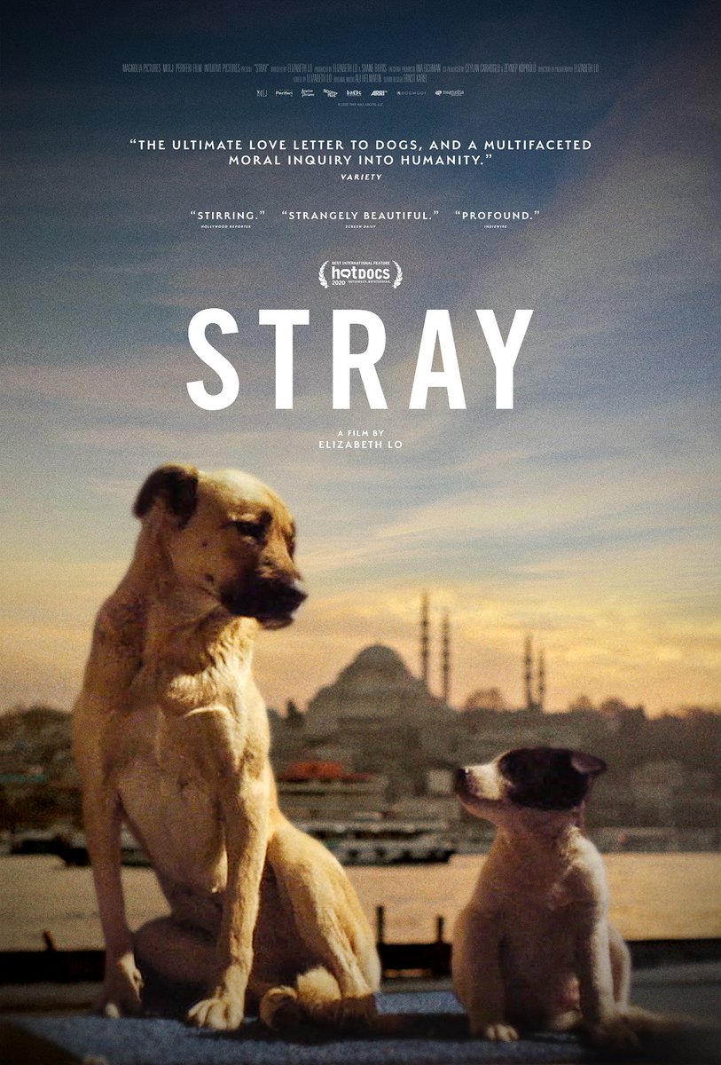 Live_for_Films's tweet photo. Stray – Follow the lives of three dogs in the trailer for new documentary. Watch it here https://t.co/ItmRTDMPQv

#Stray #documentary #ElizabethLo https://t.co/LFve5iX7HX