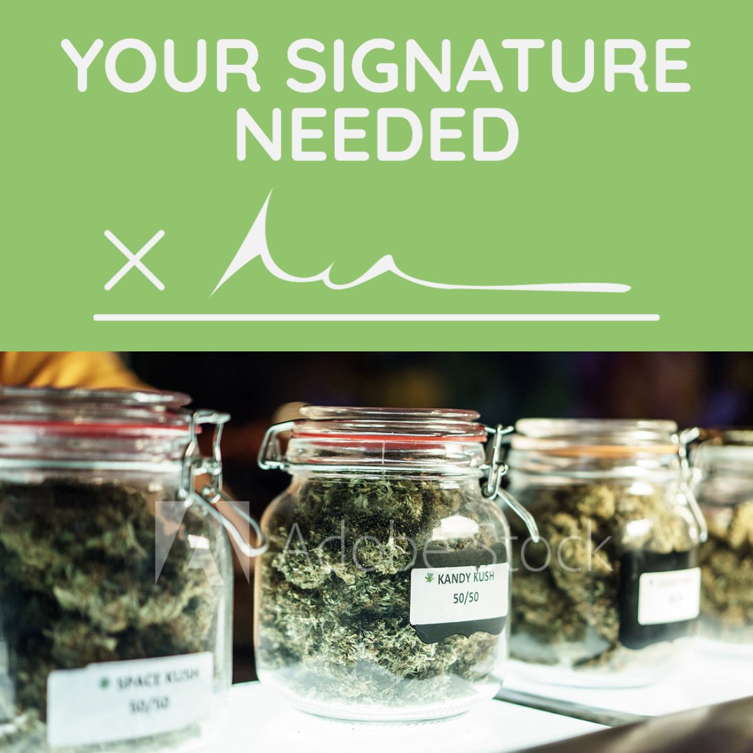 MakeItLegalFL's tweet photo. You can make a difference right now in the fight to make adult-use marijuana legal in Florida. Just click below, add your name and follow the directions to mail back your official petition: https://t.co/RlZmTRewzK https://t.co/Gto9k1J506