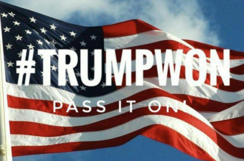 donkybearfatcat's tweet image. 