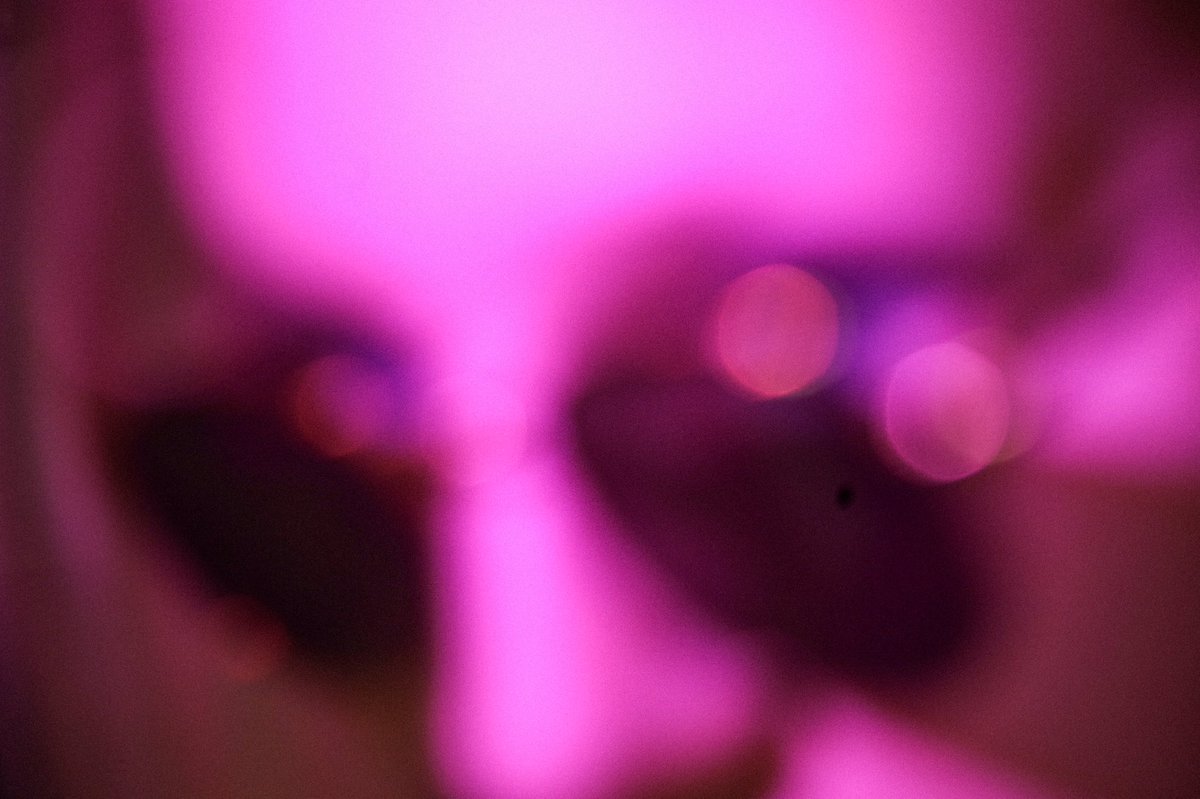 1.Through Our Lens. Started in April 2020. Working with teenagers from Bradford to enable them to tell their story at a time when they did not appear in the visual narrative, record. The project continues, and grows . It brings me joy, it brings the individuals visibility...