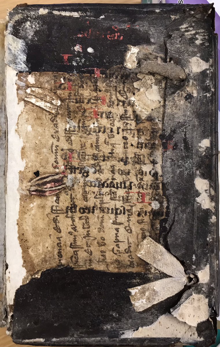 Lovely pastedown in a copy of Denis the Carthusian’s Summae vitiorum et virtutum... (1533 ed.). Gotta love the multiple MS layers of recycled and offset text! One of dozens of “new” medieval MSS we’re discovering in our ongoing survey of early bindings! #mssfragments