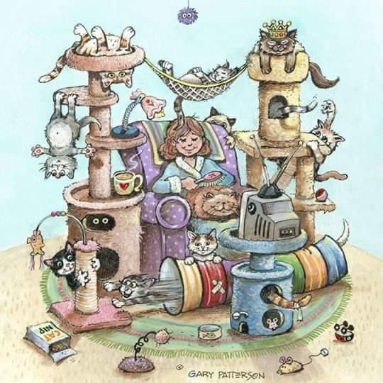 sprigwig's tweet photo. 🔊One  of  our  residents  is  a  #catlady 🙀 How  many  cats?  😼 #wehaverules #ThatIsAll https://t.co/qzXu4LMgQw