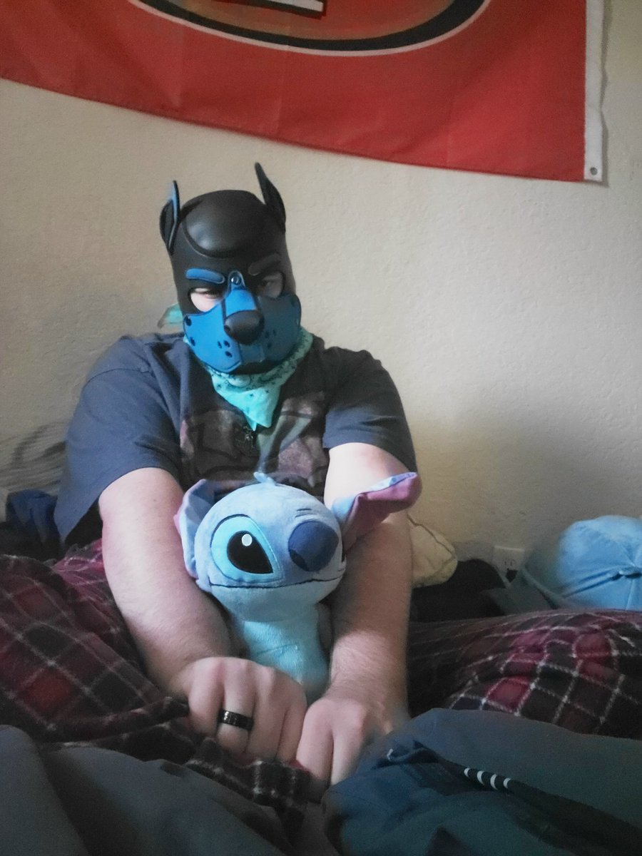 AlphaPupSalazar's tweet photo. Have some SFW puppy content. I feel like I don't take enough pup pics like this. Should I do it more often? #pupplay #puppyplay #cutepup #Stitch #puptwitter #collardpup https://t.co/hdIwB5iWpN