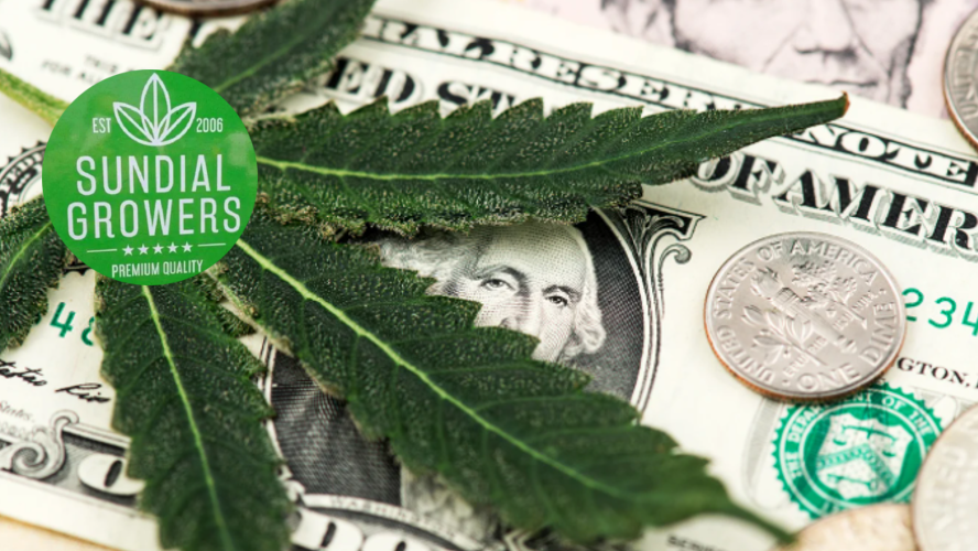 CommunalInc's tweet photo. Sundial Growers - Their Impressive 2020 Performance Rolls Over Into A Promising 2021 - https://t.co/t752rkNta1 https://t.co/3MYZ57uiYN