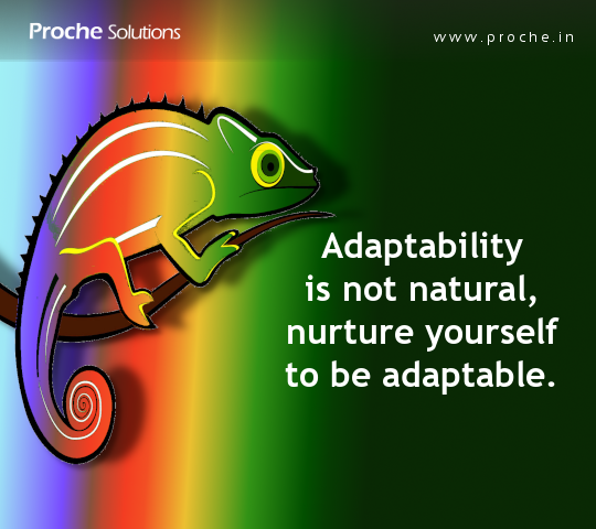 Proche Solutions tweet media