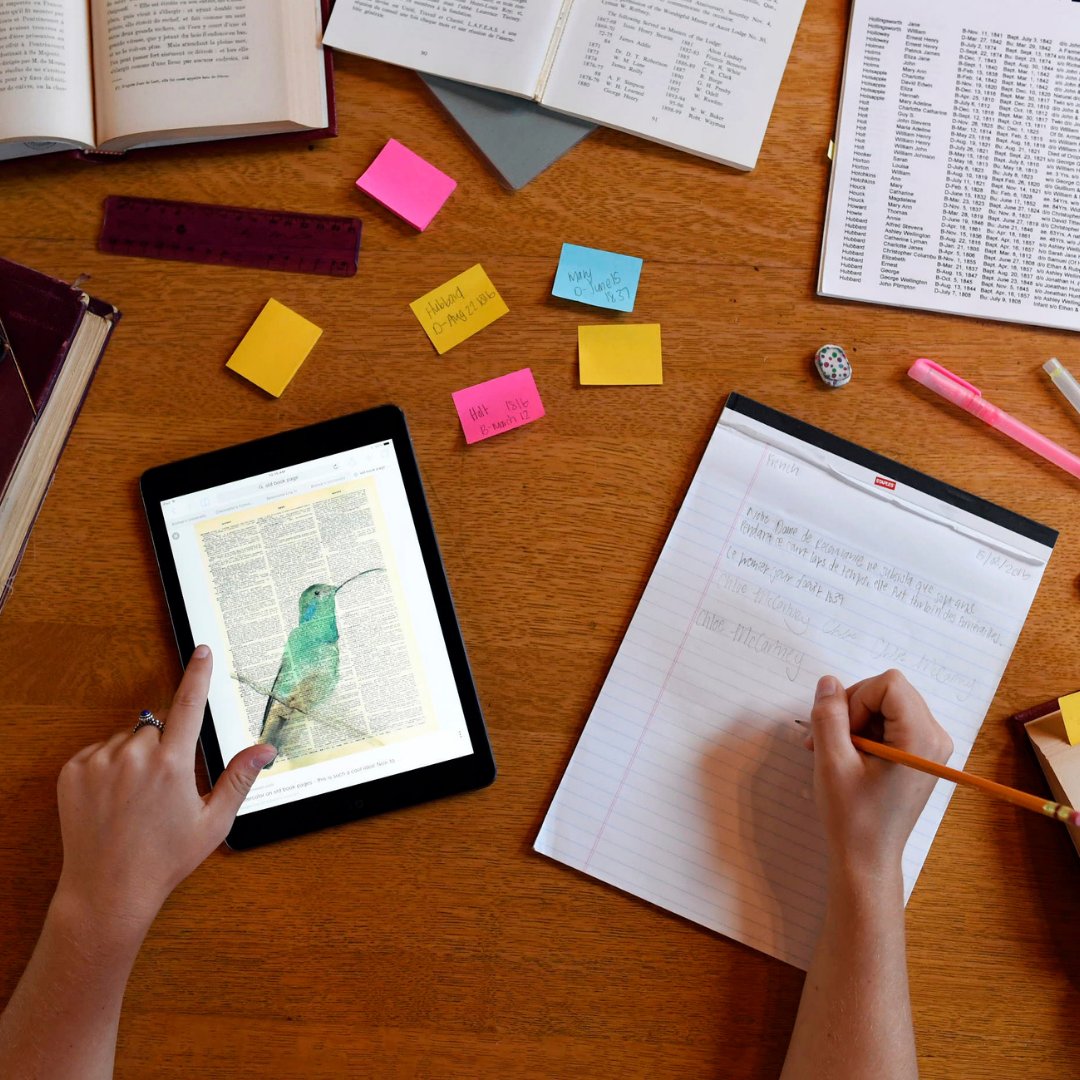 Maple League tweet media