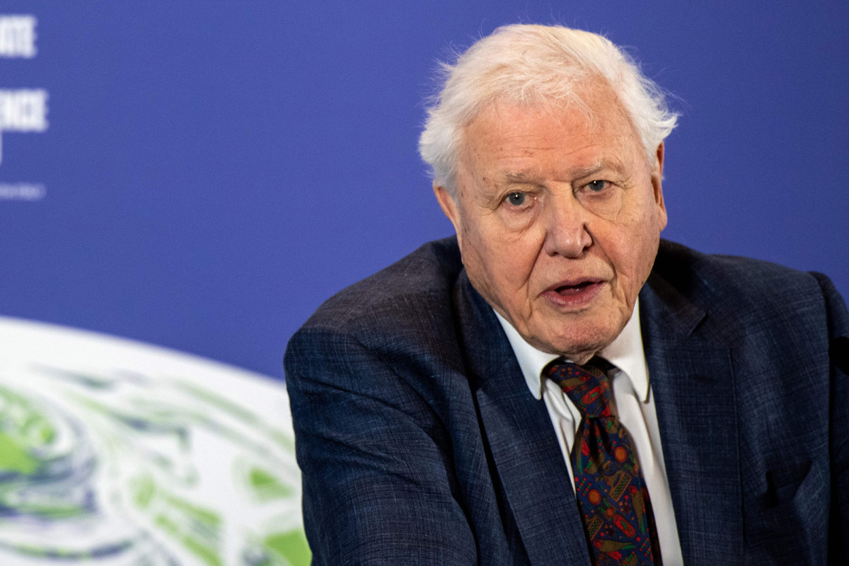 Sir David Attenborough, 94, gets COVID 19 vaccine