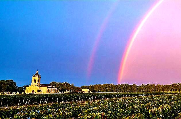 wineworldnews's tweet image. Beautiful Rainbow 🌈 @Havenlust @Coolmon2009 @MrScottEddy @TedNguyen @dianadep1 @JeanetteEliz @PicPublic @peac4love @lacsd @lonelyplanet @nytimestravel @luxetraveldiva @KellyMitchell @ThePhotoHour @GoogleExpertUK @travelingmitch @LuxuryTravel43 @winewankers @quick_philip