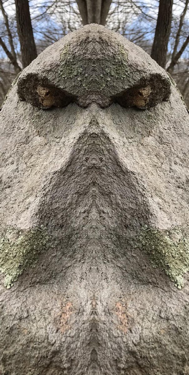 TimeTravelWish's tweet photo. @Pontifex The Big Head wishes us to be tolerant, and not all superior and snooty about our species.
What if God is also reptilian, is that okay?
That's "his" image also, right?
We humans make them in all shapes and sizes, don't we?
Don't be snooty?
๐ #PraiseLucifer, Masterful One. https://t.co/E1ouLqwvK2