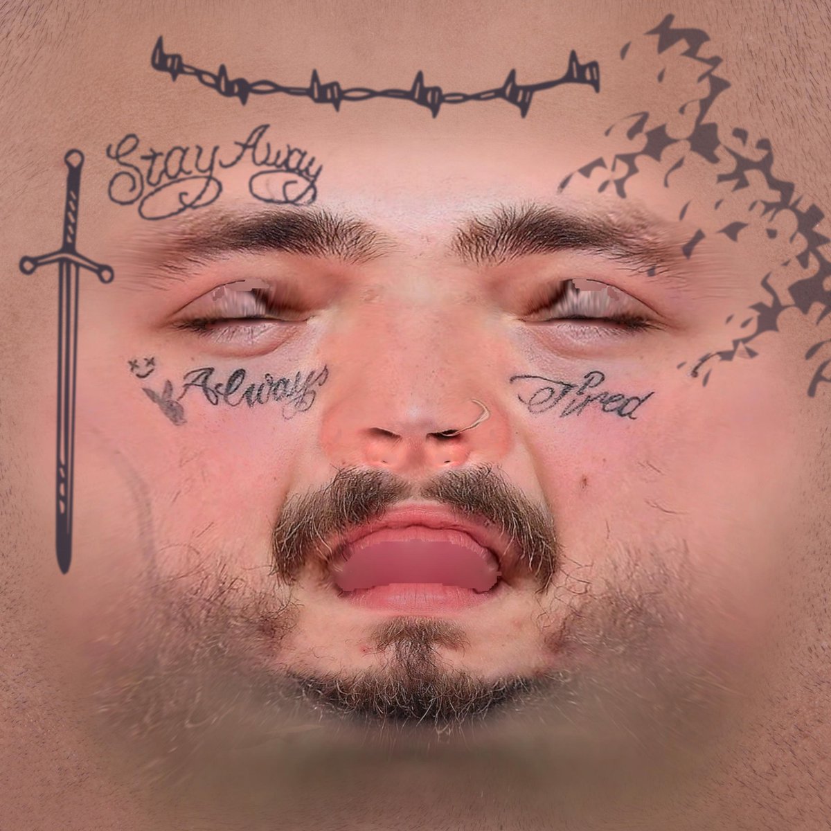 JeroenBreevoort's tweet photo. I saw this, so now you have to see this. #PreMalone https://t.co/JhIjIo4Jgt