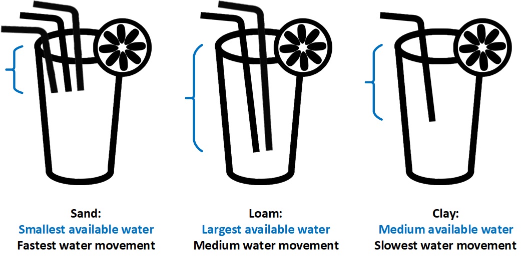 Soil experts out there: what do you think about the graphic below? The goal is to teach plant available water and water movement in different soils. The top of the glass is Field Capacity, the bottom of the straw/s is Wilting point. Good? bad? ugly? #soilscience