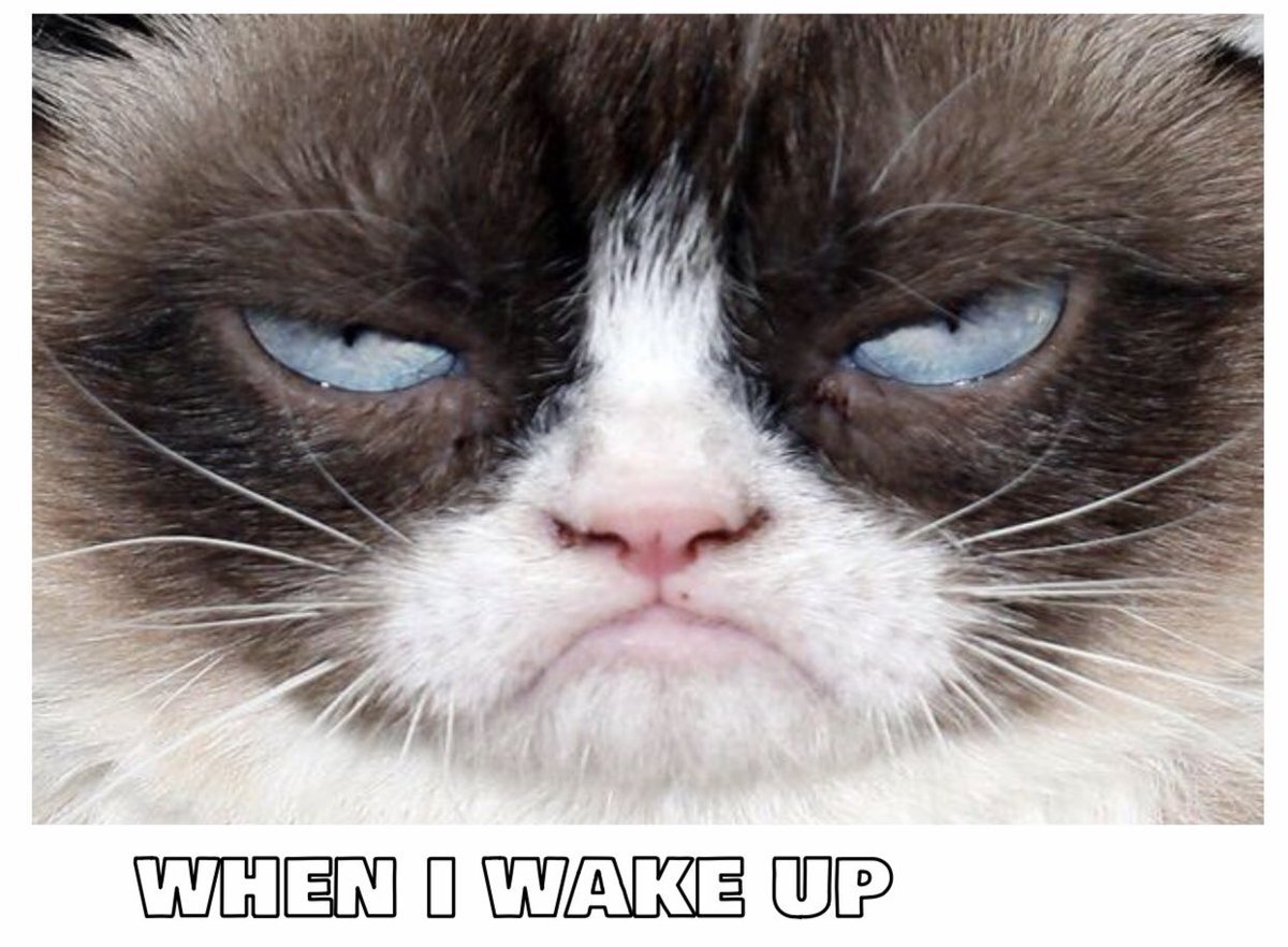 MsHan4th's tweet photo. Started off the day by making some memes about school 😂Thanks @lmullane for the awesome presentation on student engagement yesterday 😊 @RLCPrincipal @RLC_Coyotes https://t.co/4obrNsETpH
