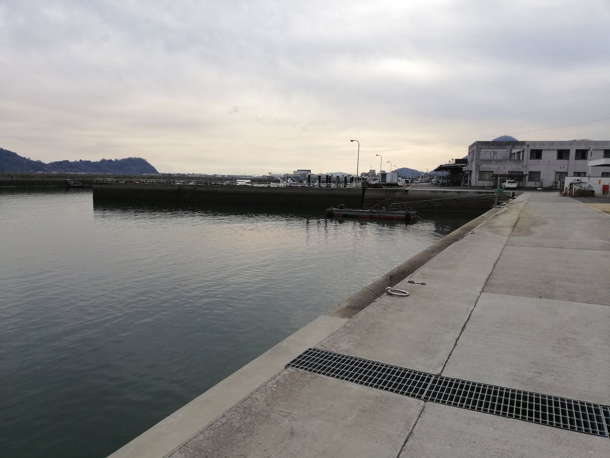 ウッディ 海釣り 21始動 寄島漁港 牡蠣買いの人凄かったが釣り人全くいなかった 漁港広いな 岸壁見て歩くも敷石とか少なく 良さそうなポイント見つけられず 海鮮料理の店いくつかあって そっちも気になった 寄島 ウッディ 海釣り 21始動 寄島漁港 牡蠣買いの人凄かったが釣り人全くいなかった 漁港広いな 岸壁見て歩くも敷石とか少なく 良さそうなポイント見つけられず 海鮮料理の店いくつかあって そっちも気になった 寄島
