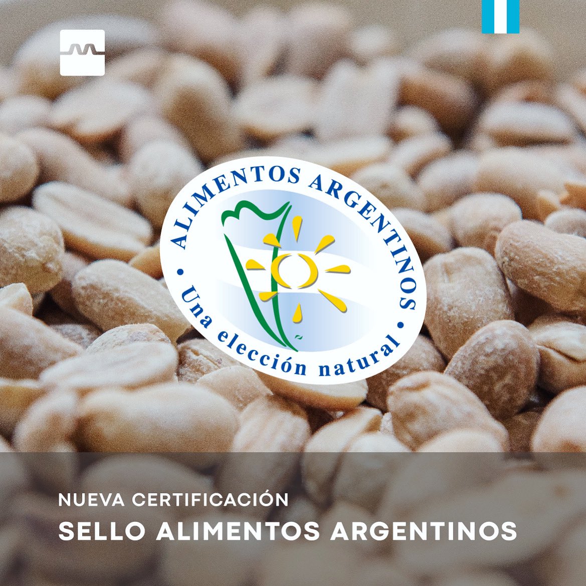 🤩👏🏼🎉 Una nueva certificación!! Obtuvimos el SELLO ALIMENTOS ARGENTINOS 🇦🇷 Un reconocimiento a la calidad de nuestro producto. El mismo está destinado al maní 🥜 blancheado de exportación. #alimentosargentinos #mani #calidad