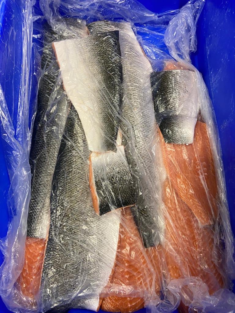 zmvv Zeerobben tweet media