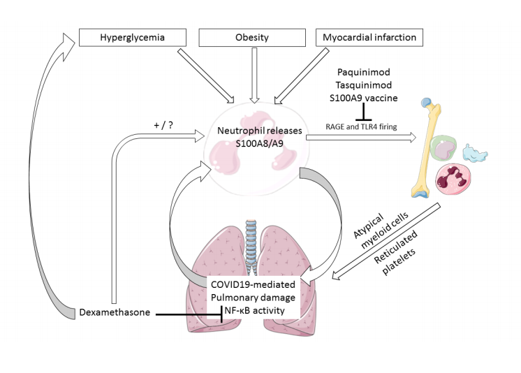 CircAHA's tweet photo. Just Published: Clinical Implications of Basic Research: DAMPs in #COVID19 and cardiovascular disease https://t.co/bJ2EbRdaa0 #AHAJournals #AHACOVID19 @AHAScience https://t.co/8jzj5nLP8f