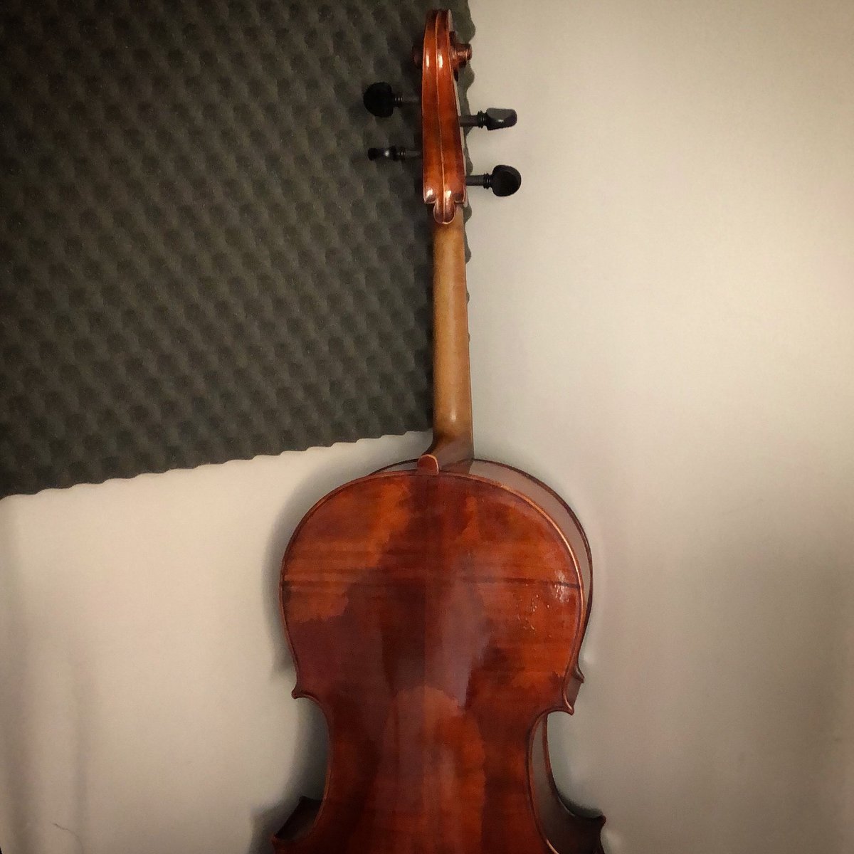 A new, shy friend at the studio 

#cello #recordingstudio #composer #soundtrackcomposer #soundtrack #music