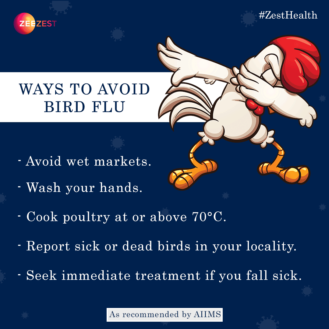 ZeeZest_'s tweet photo. "Amid the #birdflu scare, should we be worried about eating chicken and eggs? Don't chicken out yet says #AIIMS, follow these safety measures instead.
#ZeeZest #ZestHealth #AvianFlu #Health #VirusAttack" https://t.co/lheHZX4FeU