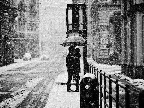 Y una vez que la tormenta termine, 
no recordarás cómo lo lograste, 
cómo sobreviviste. 
Aunque una cosa sí es segura, 
cuando salgas de esa tormenta, 
no serás la misma persona 
que entró en ella. 
De eso se trata la tormenta.

Haruki Murakami
A 72 años de su nacimiento.