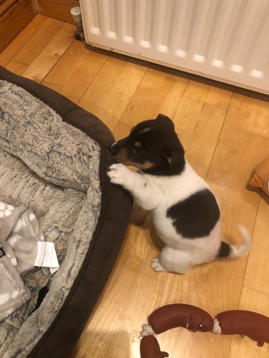 Welcome to the Fam 🙌🏻🔥<a href="/JulianneS_Xx/">✨Julianne Sheridan✨</a> <a href="/sherro06/">Ian Sheridan</a>