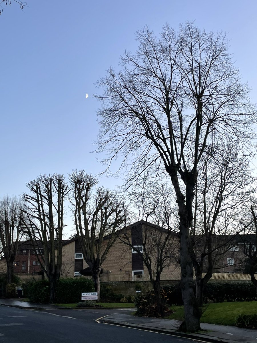 rodmagic's tweet image. The New Moon on 13 Jan at ♑️ is conjunct Pluto, the symbol of death, crisis, loss and grief. this new Moon may suggest that more people face a life-or-death situation. Especially in UK, Ireland, Spain and Portugal which have Chiron near I.C in the new Moon chart.