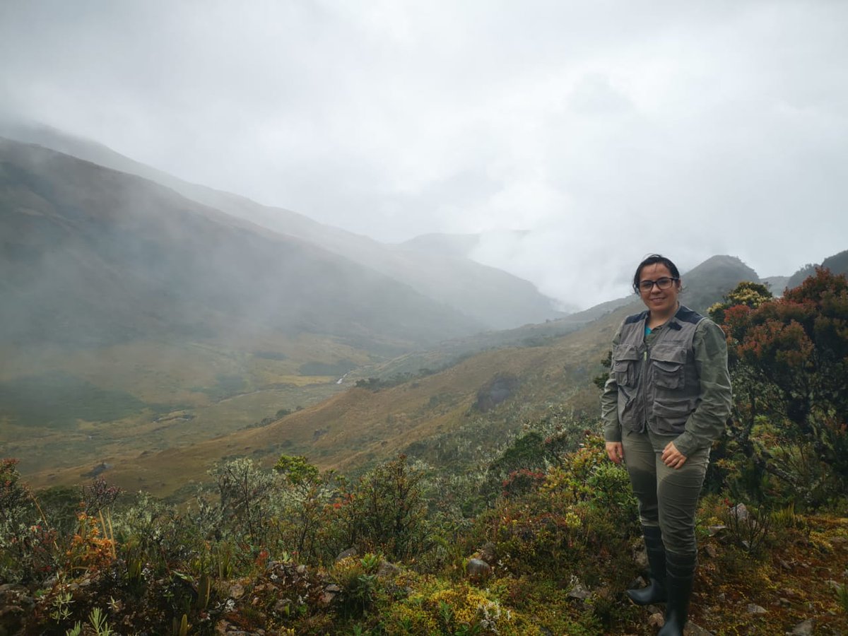 CampusHuesca's tweet photo. La biodiversidad vegetal de Ecuador protagoniza un seminario en el Campus de Huesca de @Unizar
Itziar Arnelas. de la Universidad de Loja, revisará ecosistemas de este país considerado uno de los más biodiversos del mundo
#Bioflora @EPSunizar #Erasmus+ https://t.co/d3rVu0IY8E https://t.co/cL8Ma7NBLn