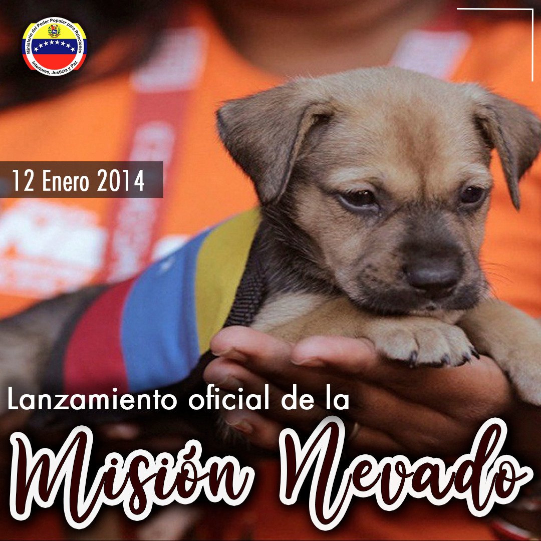 Conmemoramos 7 años del lanzamiento oficial de la Misión Nevado, programa que garantiza protección, calidad de vida y atención integral gratuita a las mascotas venezolanas.

#ElEsequiboEsDeVenezuela