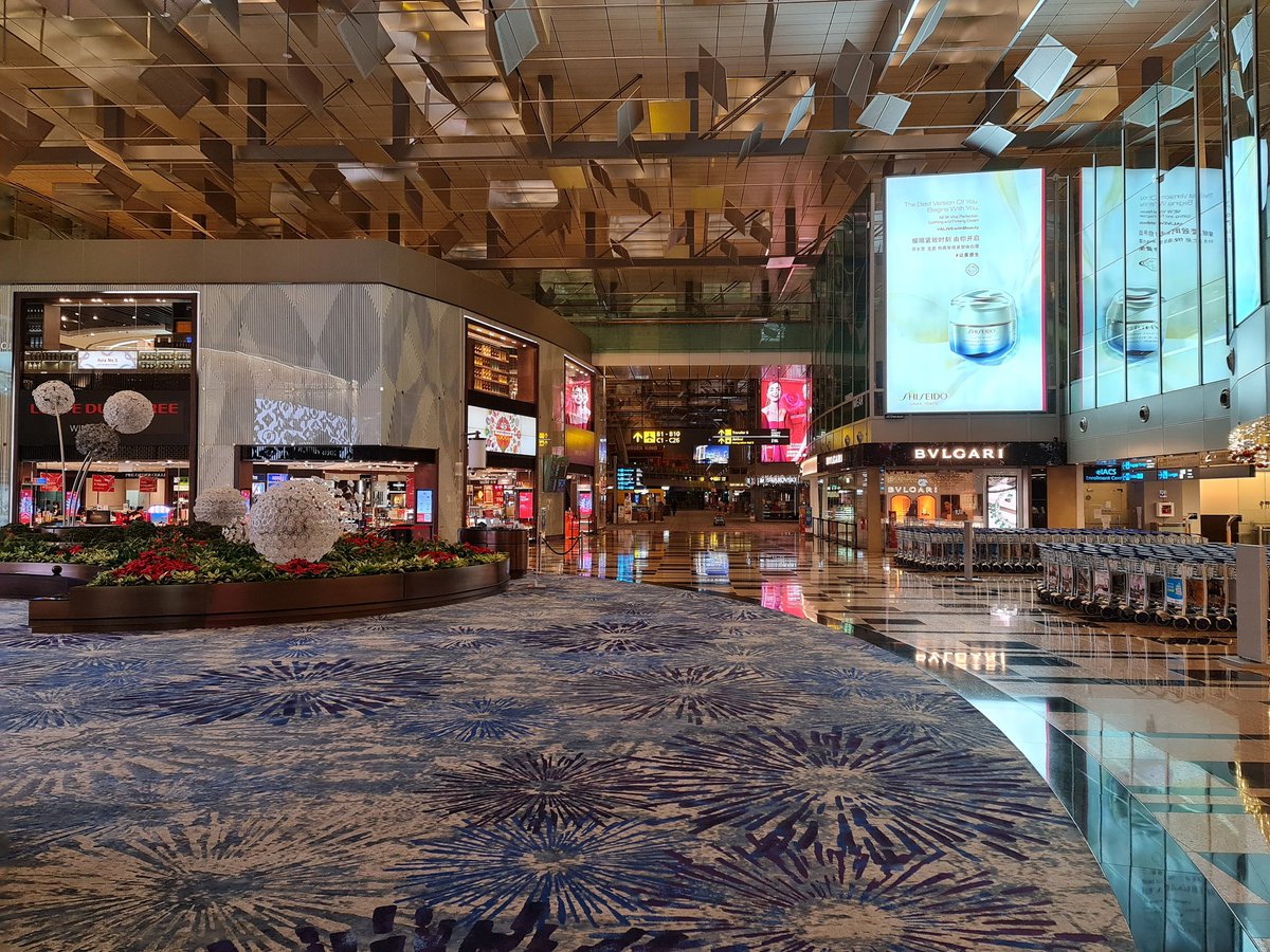 iceiceice tweet media