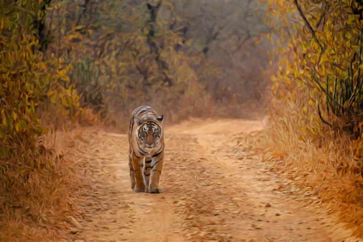 Worthycanvas's tweet photo. Featured Art of the Day: "Tiger in Ranthambhore". Buy it at: https://t.co/LoO00j9dU8 https://t.co/CURWNqyDuz