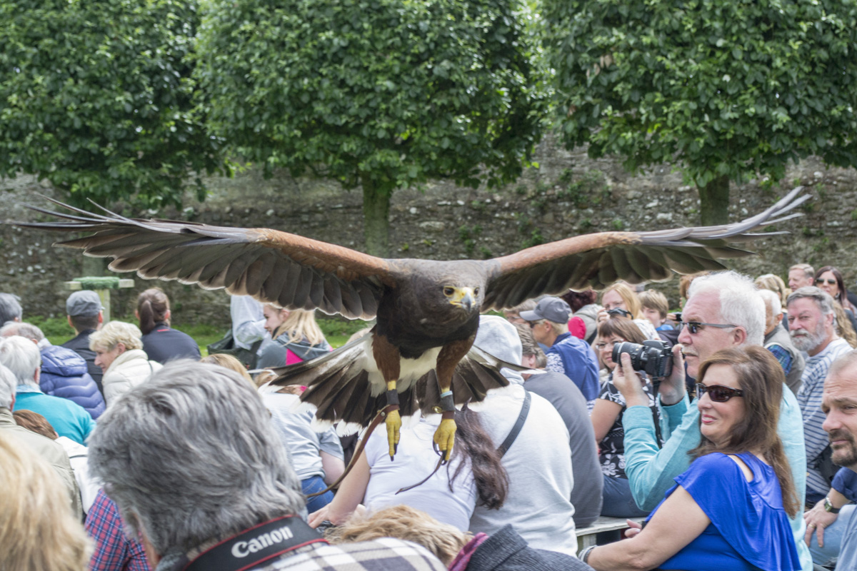 ItineraryScot's tweet photo. One of our favourite stops on @NorthCoast500 has to be @Dunrobin_Castle. The views over the #Versailles inspired landscaped gardens to the sea are stunning😍We also had a great time at the #falconry display, watch your head as the birds swoop by very close! 🦅😁 #NC500 #roadTrip https://t.co/Ae9UOGzYMD