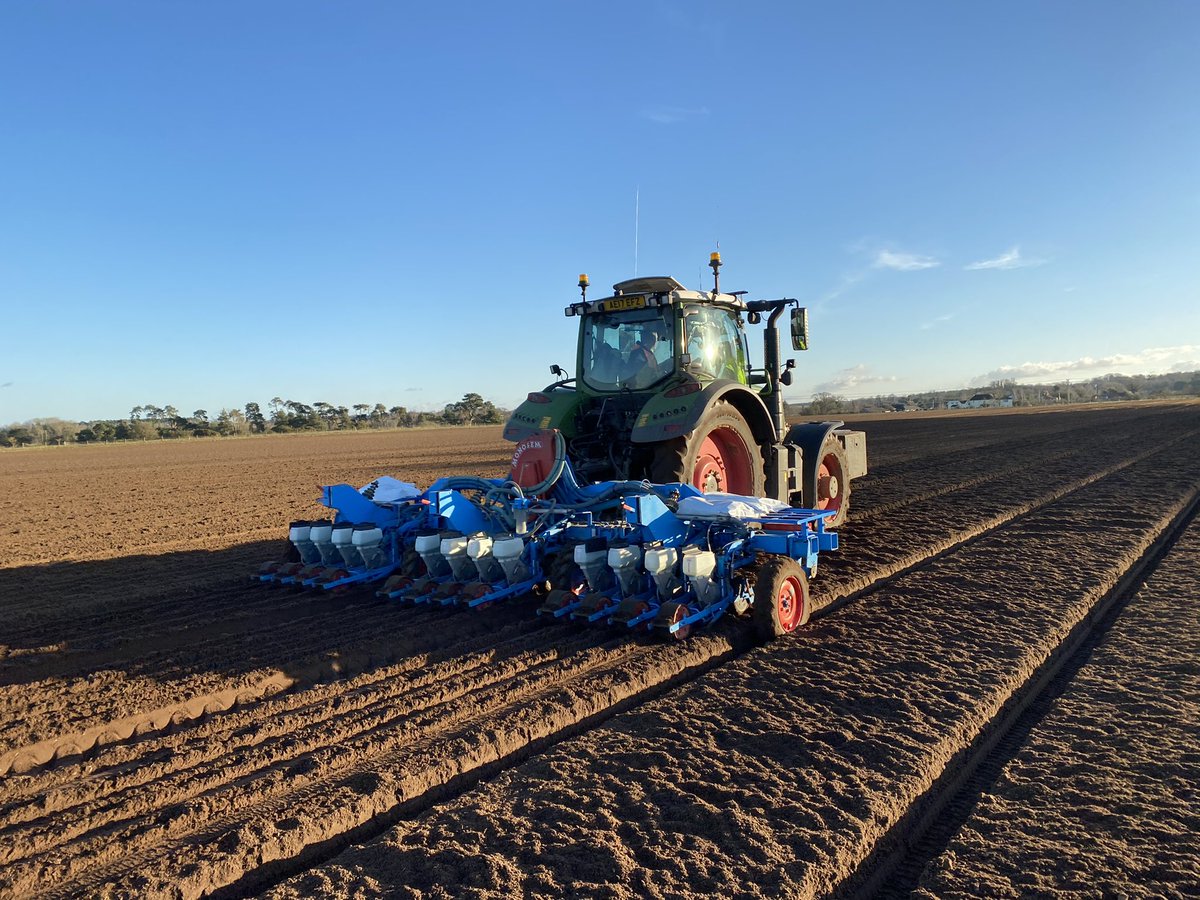 FrederickHiam's tweet photo. We’ve been busy getting on with some land work whilst the sun was shining today - drilling the first field of Parsnips for #harvest2021. This crop will be covered in polythene to encourage early germination and growth ready for harvest sometime in July... 🚜☀️ https://t.co/3Bbye6dmHN