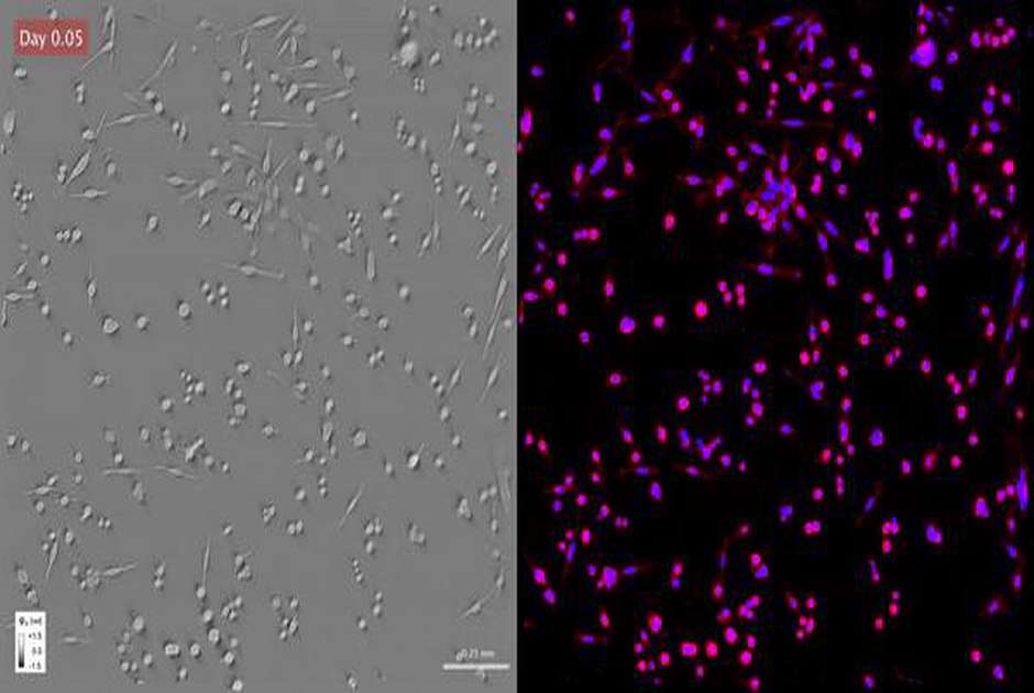 Popescu Lab tweet media