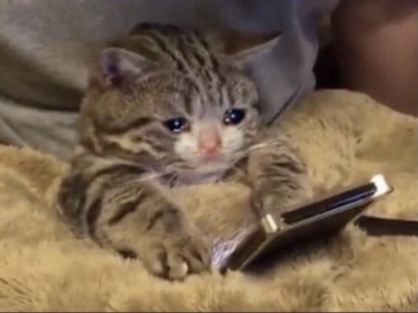ChaKiPleure99's tweet photo. Quand tu vois que t’es pas le seul sur Twitter a être en décrochage scolaire #etudiantsfantomes https://t.co/A939Yrrm5D
