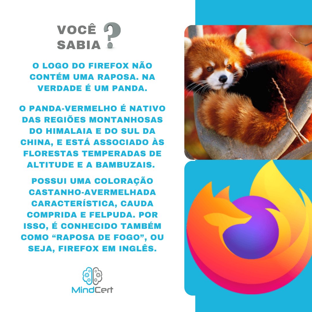 mindcertedu's tweet photo. Em nosso momento "Globo Repórter" falaremos sobre os pandas-vermelhos. Onde vivem? O que comem? Em quais logos de empresas eles aparecem?

#vocesabia #curiosidades #browsers #navegadores #firefox #pandavermelho #mindcert https://t.co/si4X02HdWt