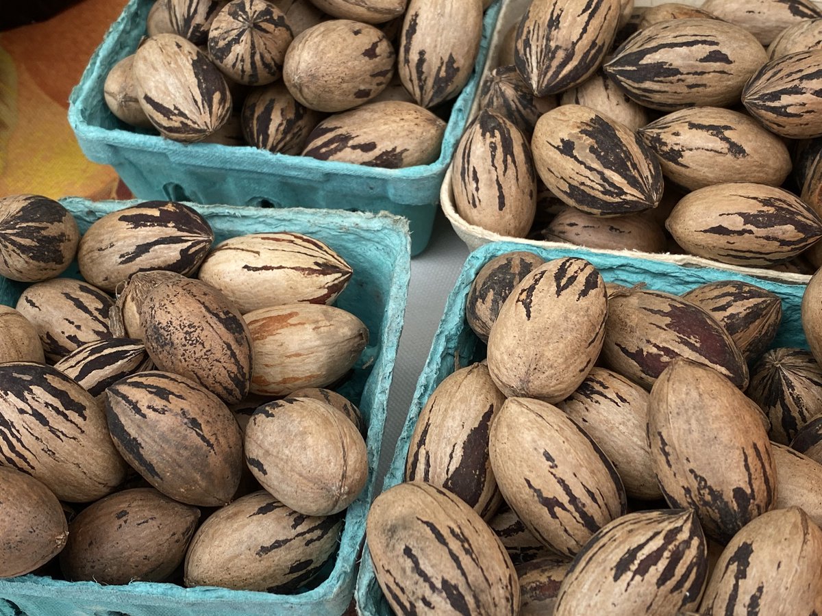 PlacerGROWN's tweet photo. Time for another vendor spotlight! You can shop with Ortega Family Farm from Loomis every Tuesday at the @FountainsatRsvl certified farmers market. 

Open rain or shine, 8:30 am to 1:00 pm. https://t.co/OEtVMWT9o9 https://t.co/n3saRlUBD1