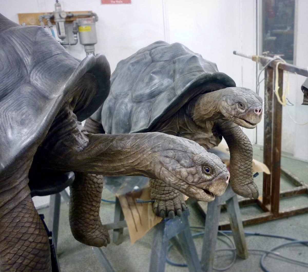 Ivan_Bejarano_'s tweet photo. Cuando te piden que pintes unas tortugas en plan...realistas!😁 Y así quedaron, que os parecen? #creaturemakers #creaturepainter https://t.co/y6IAxDB8b1