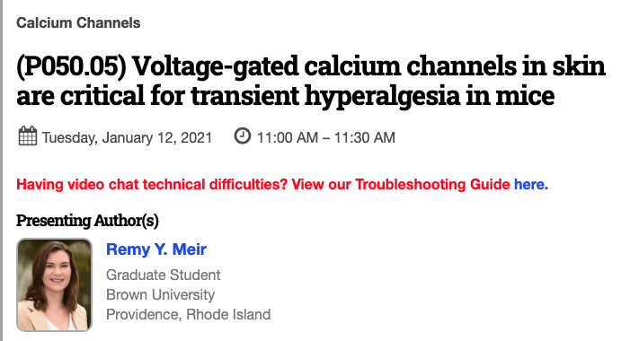 Love this poster on peripheral CaV channels in heightened pain from <a href="/MeirRemy/">Remy Meir</a> <a href="/diane_lipscombe/">Diane Lipscombe</a> &amp; co.  #SfNConnectome21